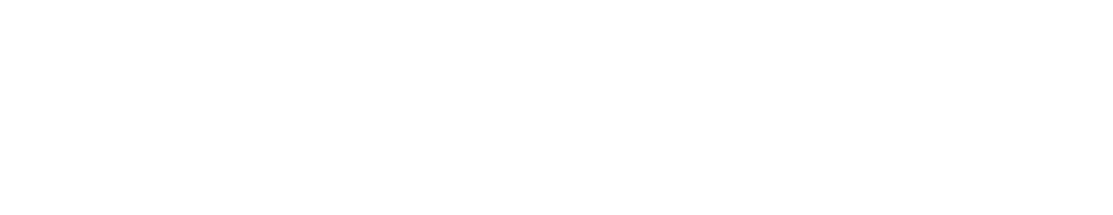 Citizen Ticket